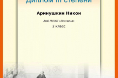 arinushkin-nikon_diplom-iii-stepeni_2-klassy_